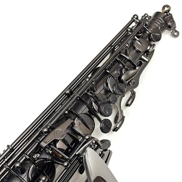 Cannonball USED 中古 アルトサックス キャノンボール A5-BiceB Raven S/N 204xx6 【調整&セットアップ後出荷】【5年間キーバランス調整無料】 画像3
