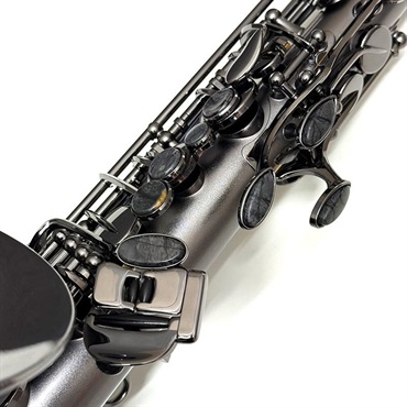 Cannonball USED 中古 アルトサックス キャノンボール A5-BiceB Raven S/N 204xx6 【調整&セットアップ後出荷】【5年間キーバランス調整無料】 画像9