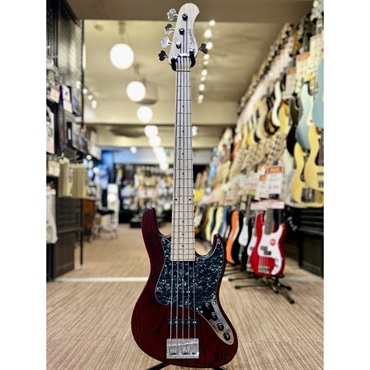 Sadowsky Guitars MetroLine 21-Fret Vintage J/J Bass 5st (SBG) [Ikebe 50th Anniversary Special Edition] #005983 画像1