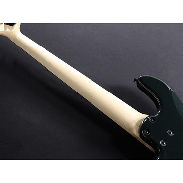 Freedom Custom Guitar Research Custom Style Blowzer 5st PP (Black...green?) 画像9