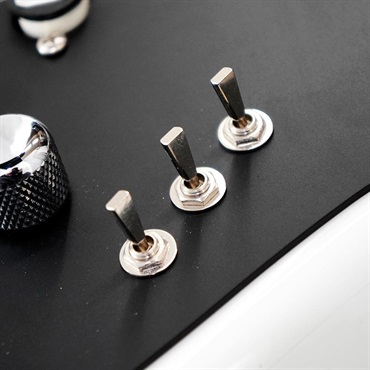 SCHECTER USED 中古 PS-ST-J (WHT/R) [SPOT MODEL] [SN. S2304155] 画像9