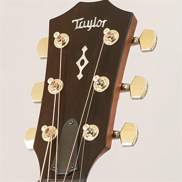 TAYLOR Next Generation 314ce テイラー 画像10