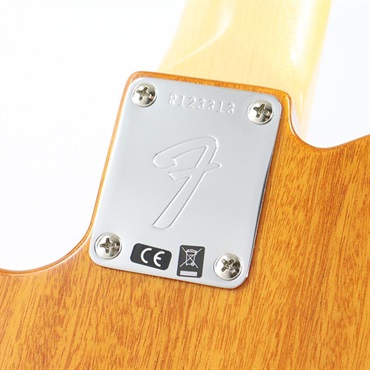 Fender Custom Shop Vintage Custom 1968 Telecaster Thinline New Old Stock (Aged Natural) [SN. R123313] 画像6