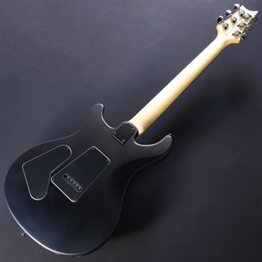 P.R.S. SE Swamp Ash CE 24 Sandblasted Limited Edition (Sandblasted Blue) #CTI G032784【2024年生産品】 画像5
