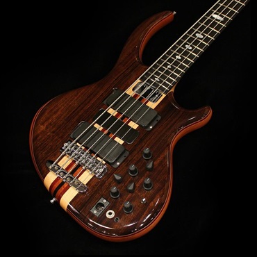 ALEMBIC USED 中古 LSBI5-EBHCW (Series II 5st / Rogue shape) '14 画像1