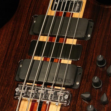 ALEMBIC USED 中古 LSBI5-EBHCW (Series II 5st / Rogue shape) '14 画像2