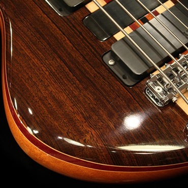 ALEMBIC USED 中古 LSBI5-EBHCW (Series II 5st / Rogue shape) '14 画像3