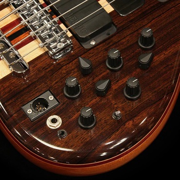ALEMBIC USED 中古 LSBI5-EBHCW (Series II 5st / Rogue shape) '14 画像4