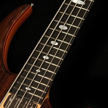 ALEMBIC USED 中古 LSBI5-EBHCW (Series II 5st / Rogue shape) '14 画像6
