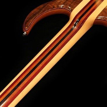 ALEMBIC USED 中古 LSBI5-EBHCW (Series II 5st / Rogue shape) '14 画像7