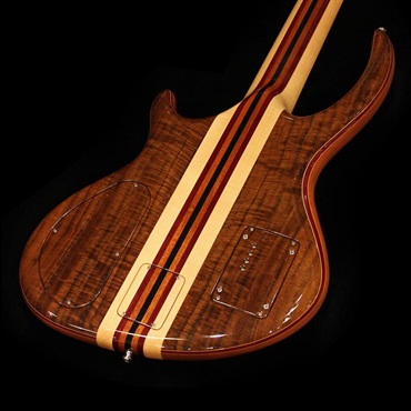 ALEMBIC USED 中古 LSBI5-EBHCW (Series II 5st / Rogue shape) '14 画像8
