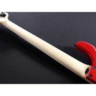 ATELIER Z Beta 5 (TP-RED/M) 画像9