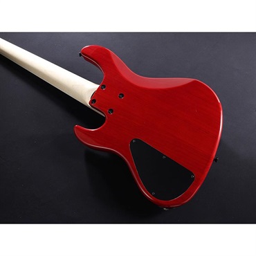 ATELIER Z Beta 5 (TP-RED/M) 画像10