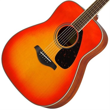 YAMAHA 【新生活応援！お得なアクセサリー10点セット付き！】FG820 (Autumn Burst)  ヤマハ 画像2