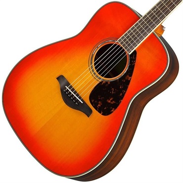YAMAHA 【新生活応援！お得なアクセサリー10点セット付き！】FG830 (Autumn Burst)  ヤマハ 画像2