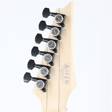 Ibanez Prestige RGR662AHBF-WK (Weathered Black) [SPOT MODEL] 画像9