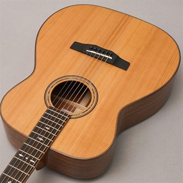 MORRIS -Japan Forest Series- F-92.LC モーリス 画像4