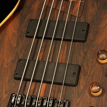 MTD 535-24 (Ziricote Top) / 2026 NAMM MODEL 画像2