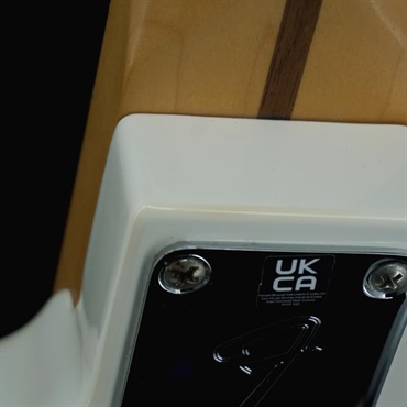 Fender MEX USED 中古 Player Jazz Bass (Polar White/Maple) 画像10