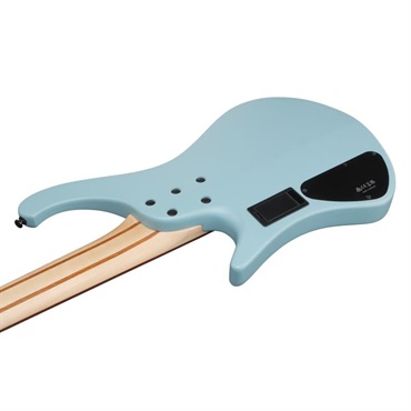 Ibanez EHB605-PRM [SPOT MODEL] 画像3