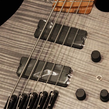 Strandberg Boden Bass Standard 5 (Charcoal) 画像1
