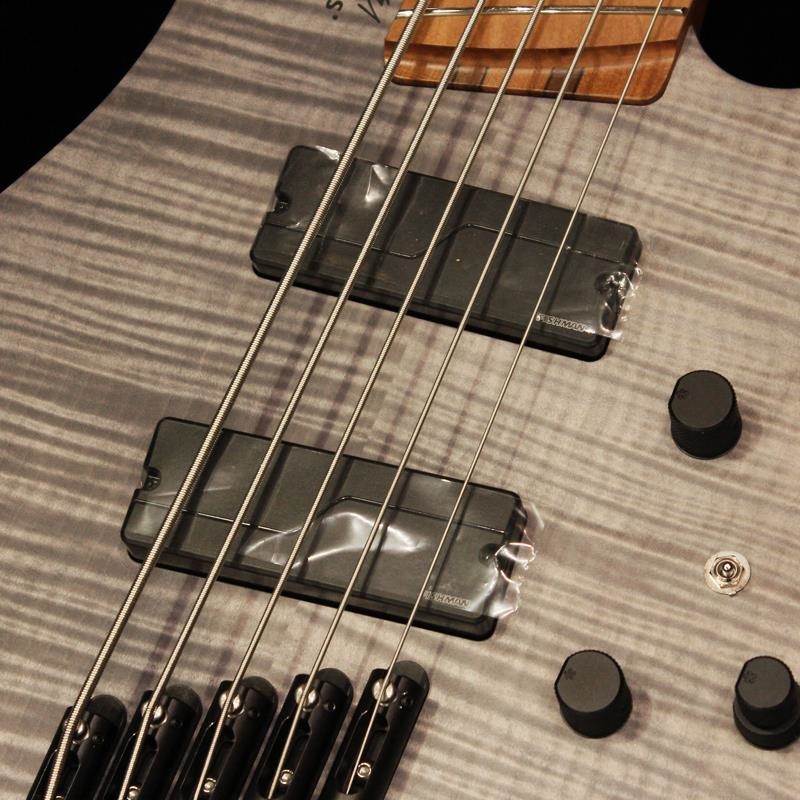 Strandberg Boden Bass Standard 5 (Charcoal) ｜イケベ楽器店