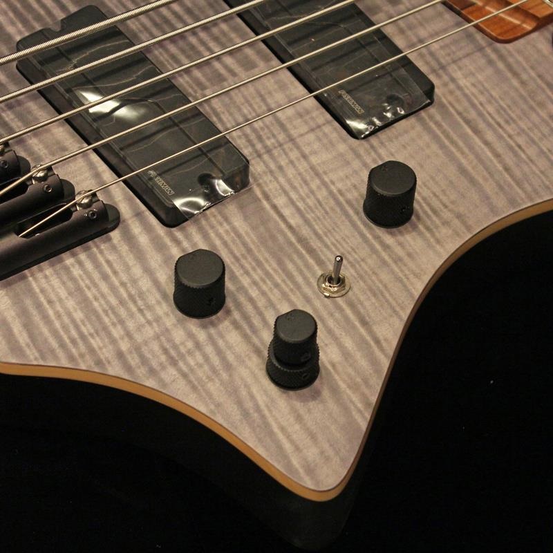 Strandberg Boden Bass Standard 5 (Charcoal) ｜イケベ楽器店