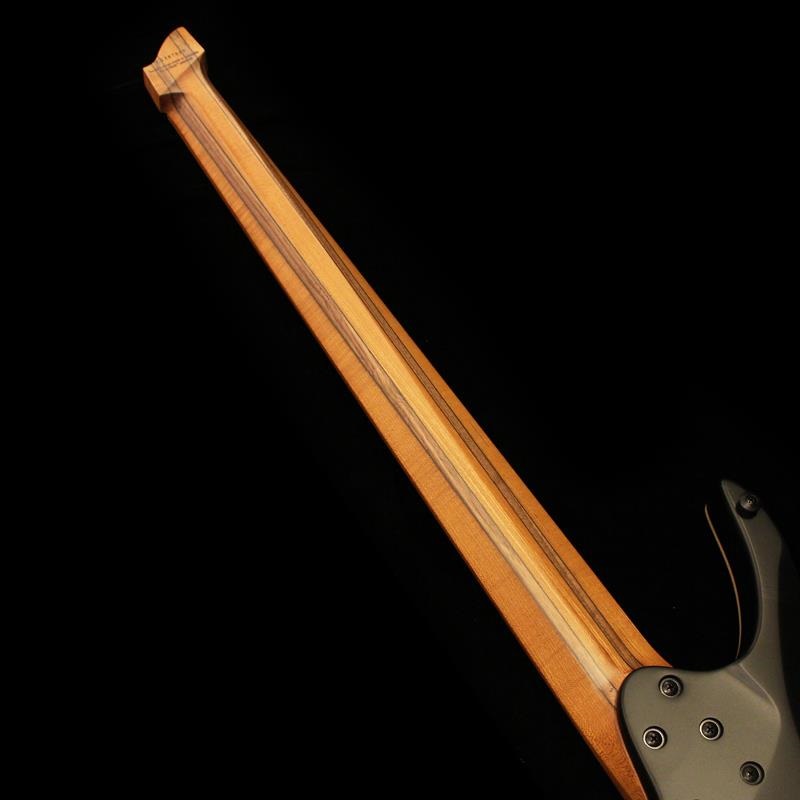 Strandberg Boden Bass Standard 5 (Charcoal) ｜イケベ楽器店
