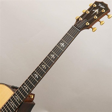 TAYLOR 【夏先取り大特価セール】914ce V-Class テイラー 画像8