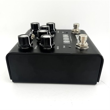 strymon USED 中古 IRIDIUM (Strymon ストライモン) 画像4