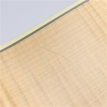 TAYLOR USED 中古 618e 2013年製 テイラー 画像8