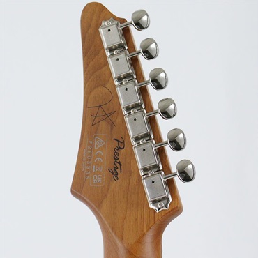 Ibanez FLATV2-MSN (Mint Sand) [Josh Smith Model] 画像9