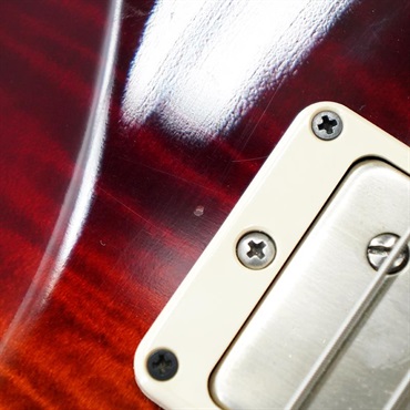 P.R.S. USED 中古 DGT David Grissom Trem Dark Cherry Sunburst 2012 [SN. 12 196016] 画像6