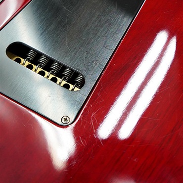 P.R.S. USED 中古 DGT David Grissom Trem Dark Cherry Sunburst 2012 [SN. 12 196016] 画像9