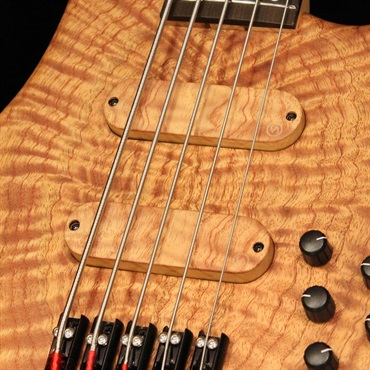 S.Martyn Custom Basses Blaze Single Cut 5st / 30 (Curly Cedro Top) 画像2