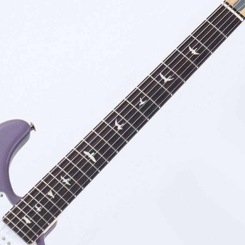 P.R.S. Silver Sky Rosewood (Black Plum Satin) [SN.0419950] 【2025