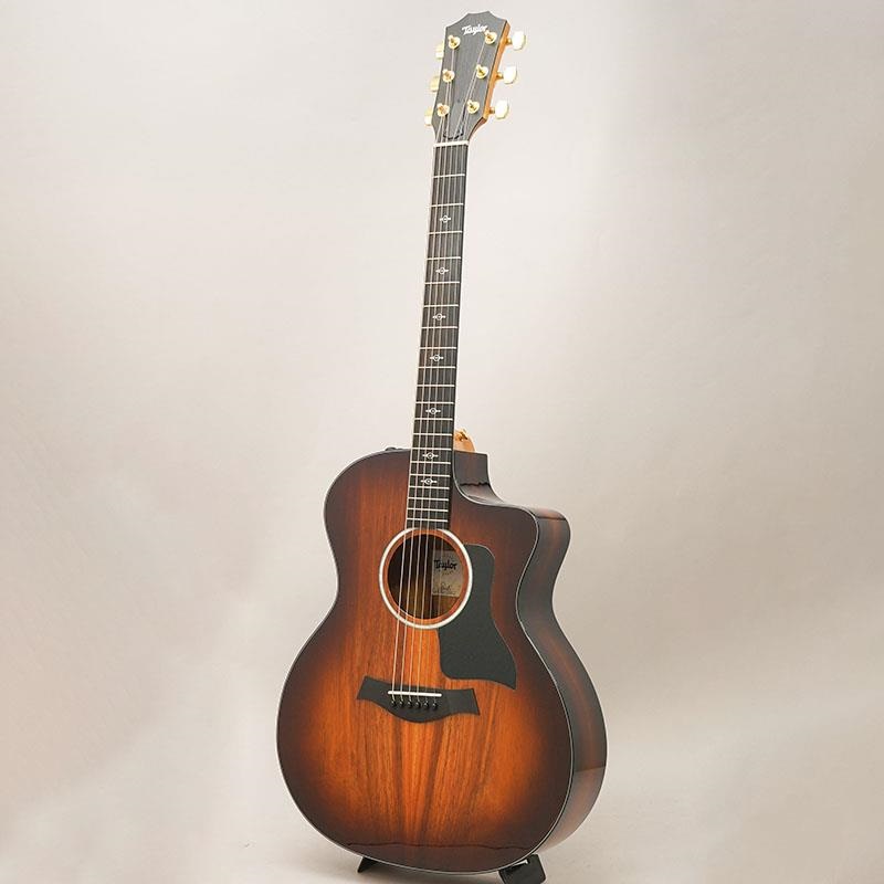TAYLOR 224ce-K DLX テイラー ｜イケベ楽器店オンラインストア
