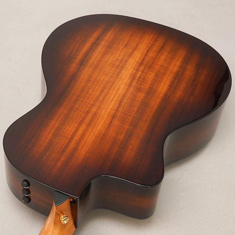 TAYLOR 224ce-K DLX テイラー ｜イケベ楽器店オンラインストア