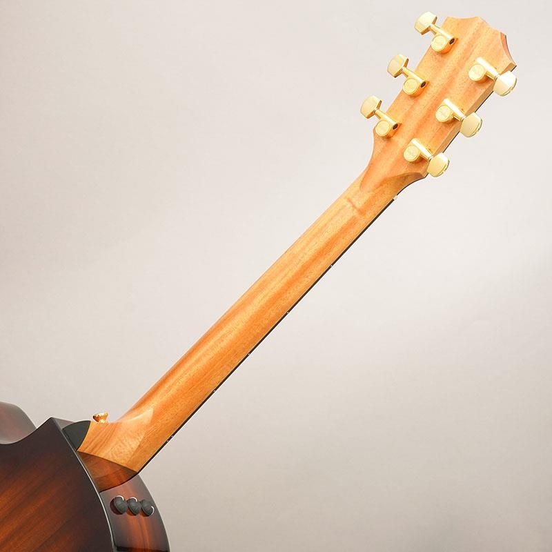 TAYLOR 224ce-K DLX テイラー ｜イケベ楽器店オンラインストア