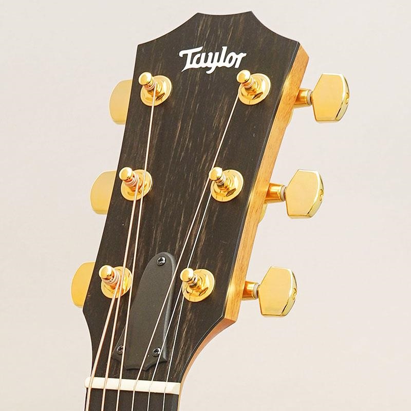 TAYLOR 224ce-K DLX テイラー ｜イケベ楽器店オンラインストア
