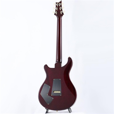 P.R.S. Modern Eagle V 10 Top Sprayer's Choice (Custom Color) [SN.0418867] 【2025年生産品】 画像2