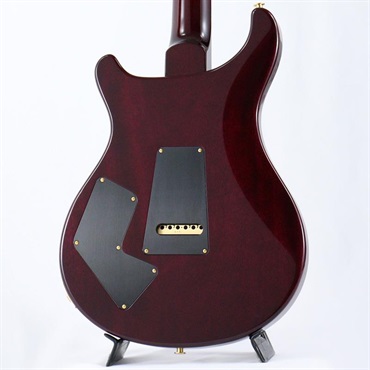 P.R.S. Modern Eagle V 10 Top Sprayer's Choice (Custom Color) [SN.0418867] 【2025年生産品】 画像3