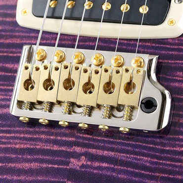 P.R.S. Modern Eagle V 10 Top Sprayer's Choice (Custom Color) [SN.0418867] 【2025年生産品】 画像5