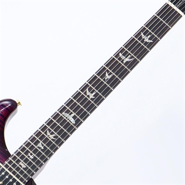 P.R.S. Modern Eagle V 10 Top Sprayer's Choice (Custom Color) [SN.0418867] 【2025年生産品】 画像6