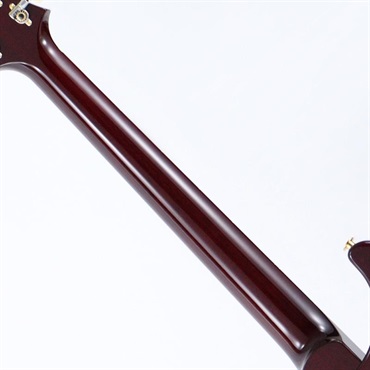 P.R.S. Modern Eagle V 10 Top Sprayer's Choice (Custom Color) [SN.0418867] 【2025年生産品】 画像7