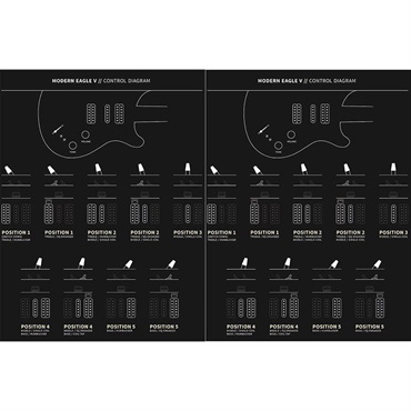 P.R.S. Modern Eagle V 10 Top Sprayer's Choice (Custom Color) [SN.0418867] 【2025年生産品】 画像10