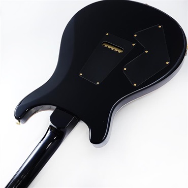 P.R.S. Modern Eagle V 10 Top (Faded Whale Blue) SN.0410475【2025年生産品】 画像6