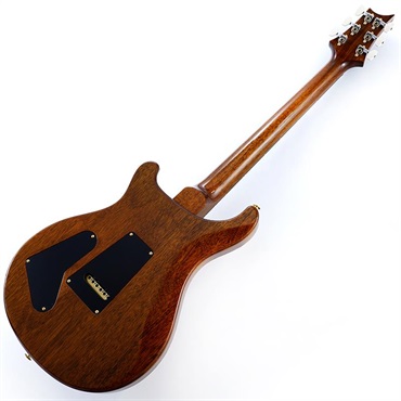 P.R.S. Special Semi-Hollow 10 Top (Black Gold) SN.0409067【2025年生産品】 画像2