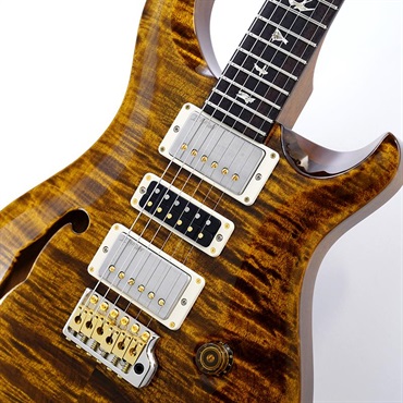 P.R.S. Special Semi-Hollow 10 Top (Black Gold) SN.0409067【2025年生産品】 画像3