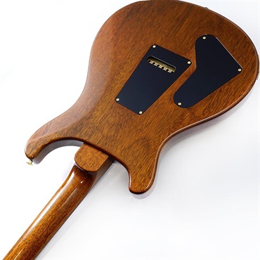 P.R.S. Special Semi-Hollow 10 Top (Black Gold) SN.0409067【2025年生産品】 画像6